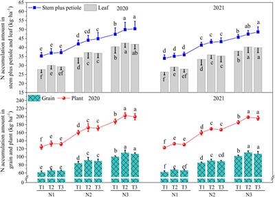 Optimized N application improves N absorption, population dynamics, and ear fruiting traits of wheat